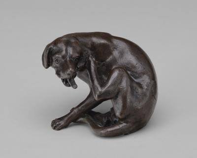 Image for A Dog Scratching