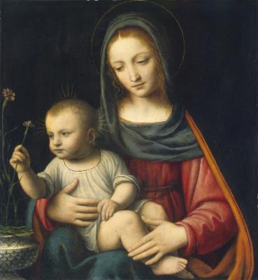 Image for The Madonna of the Carnation