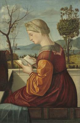Image for The Virgin Reading