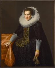 Image for Portrait of Henrica Ploost van Amstel