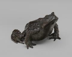 Image for A Toad
