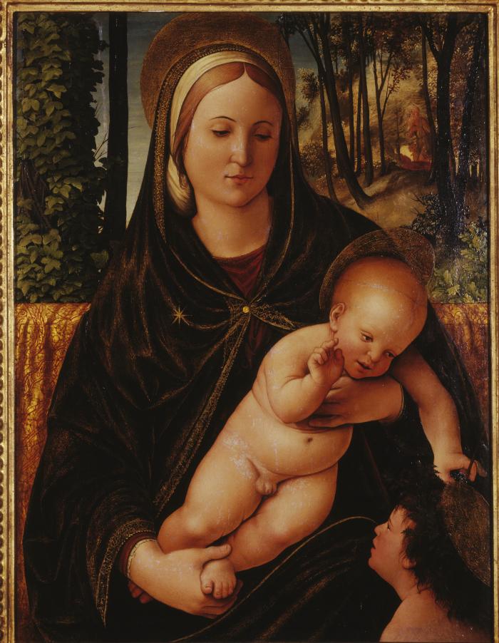 Image for Madonna and Child with St. John the Baptist