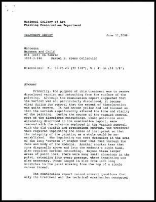 Image for K0483 - Treatment report, 2008