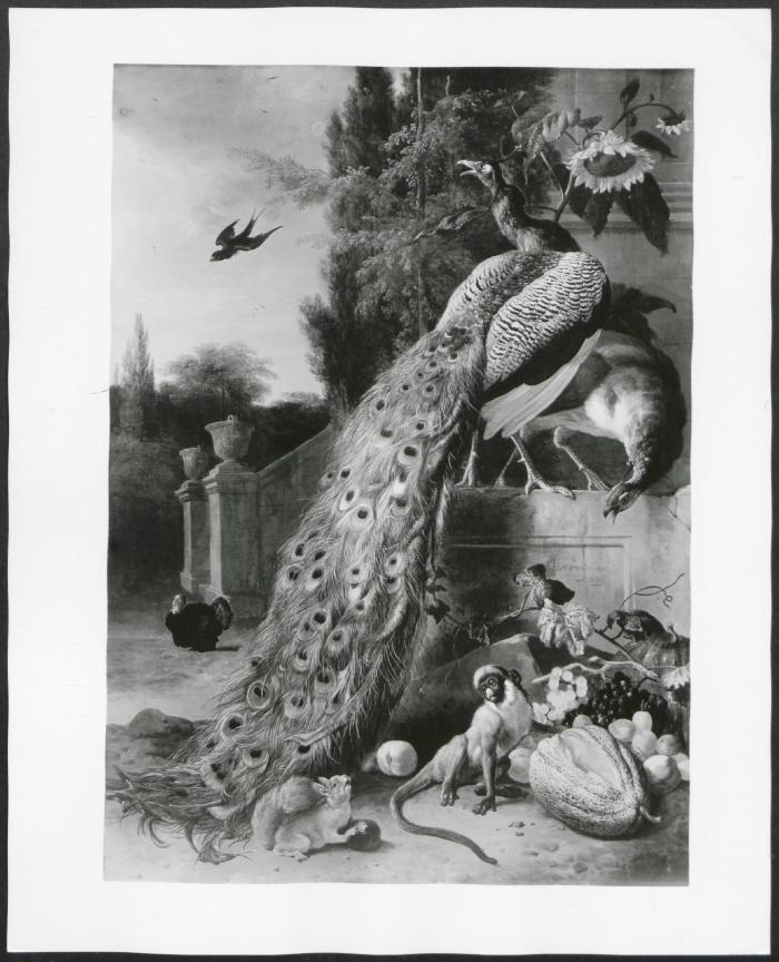 Image for K00M1 - Photograph, circa 1930s-1960s