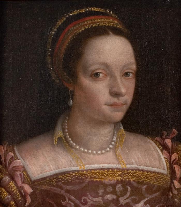 Image for Portrait of a Lady