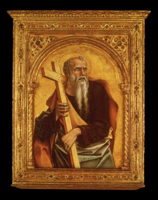 Image for An Apostle