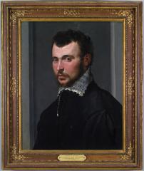 Image for Portrait of a Young Man