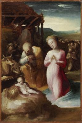 Image for Adoration of the Shepherds