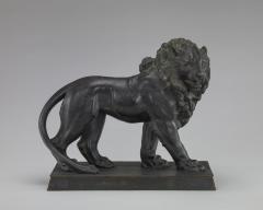 Image for Lion