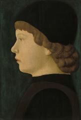 Image for Profile Portrait of a Boy